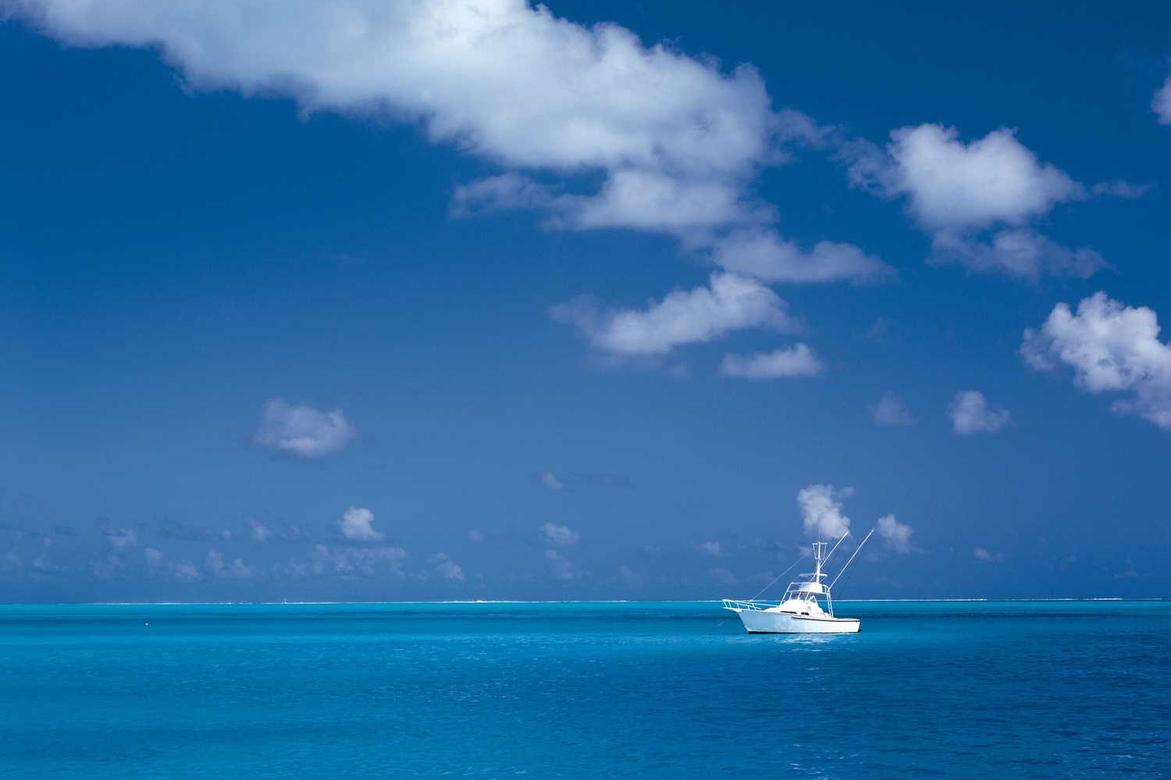 Sunt qui quis delectus